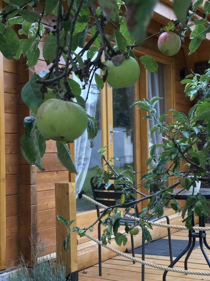 Apple House Villa Cetinje Eksteriør billede