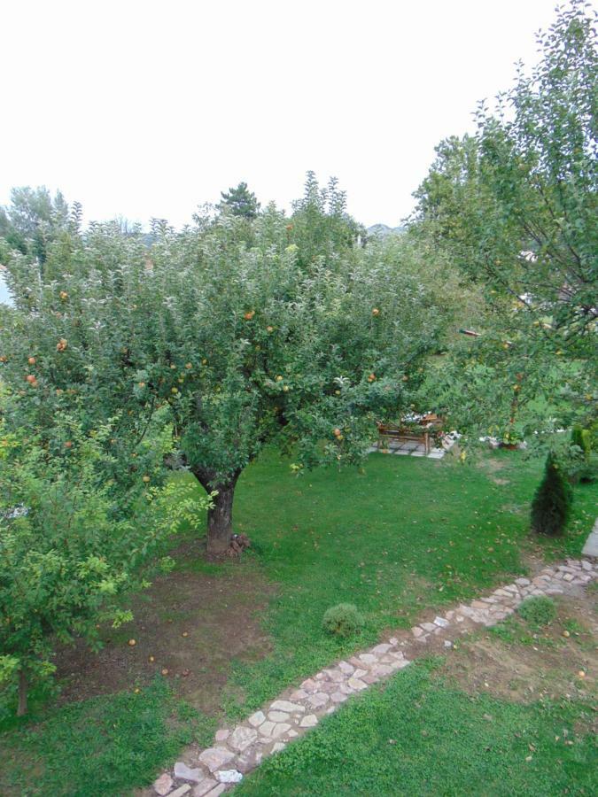 Apple House Villa Cetinje Eksteriør billede