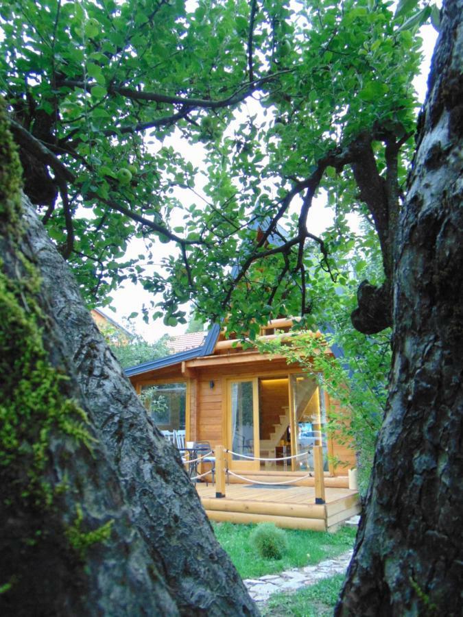 Apple House Villa Cetinje Eksteriør billede